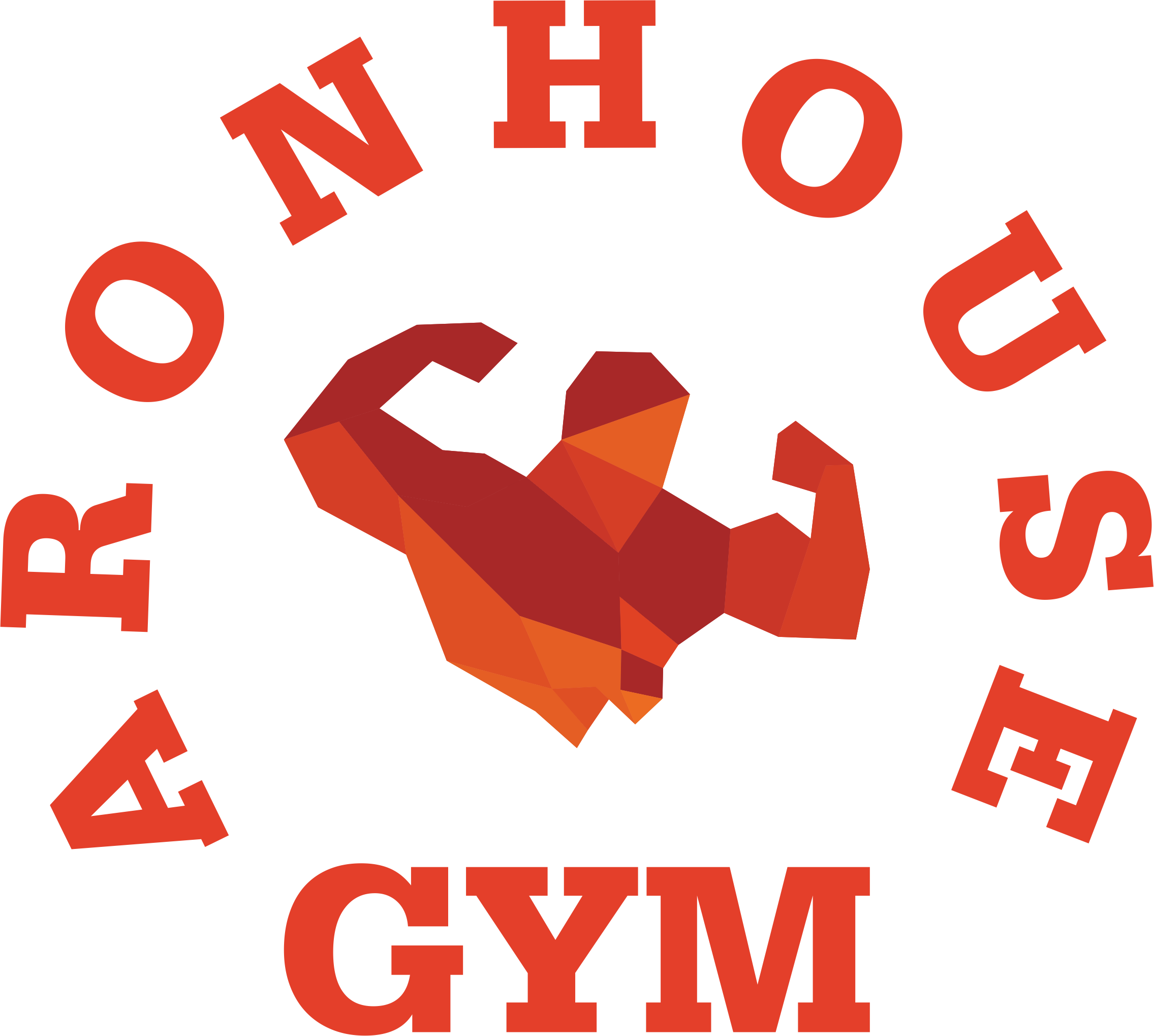 Aron House Gym
